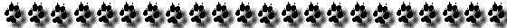 dogpaws.gif (3897 bytes)